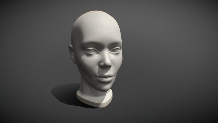Realistic Planar Head Female Beautiful. 3D Model
