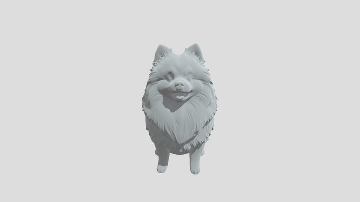 Snowy Pomeranian on the Couch 3D Model