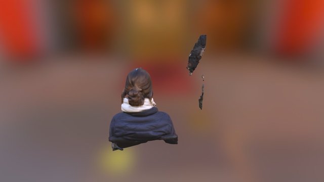 New Skanect Model 3D Model