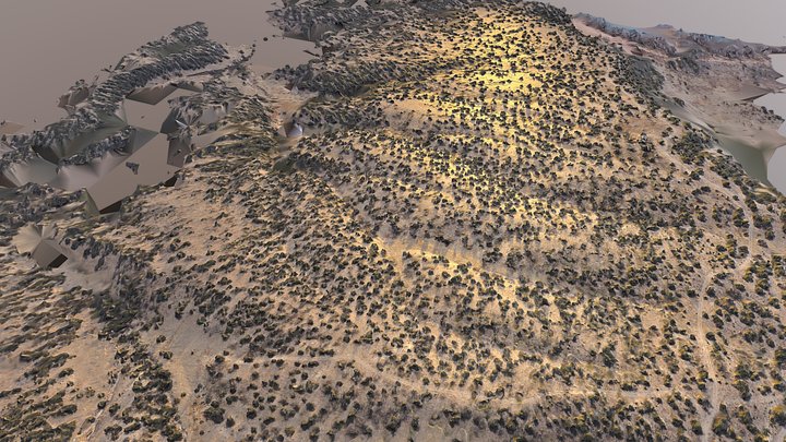 Pueblo Property 3D Model