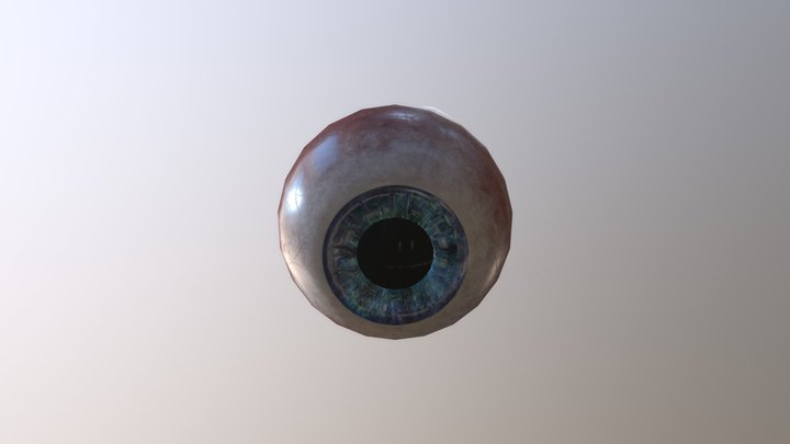 Eye Practice 3D Model