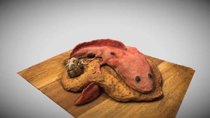 Axolotl 3D Model