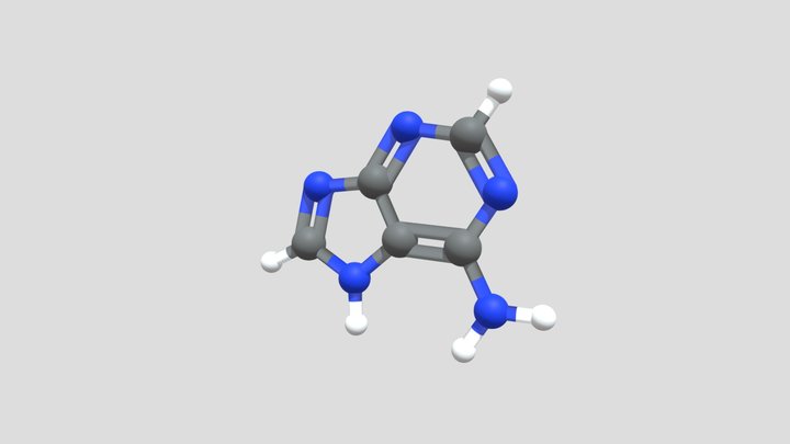 Adenine – Modello 3D gratuito STL
