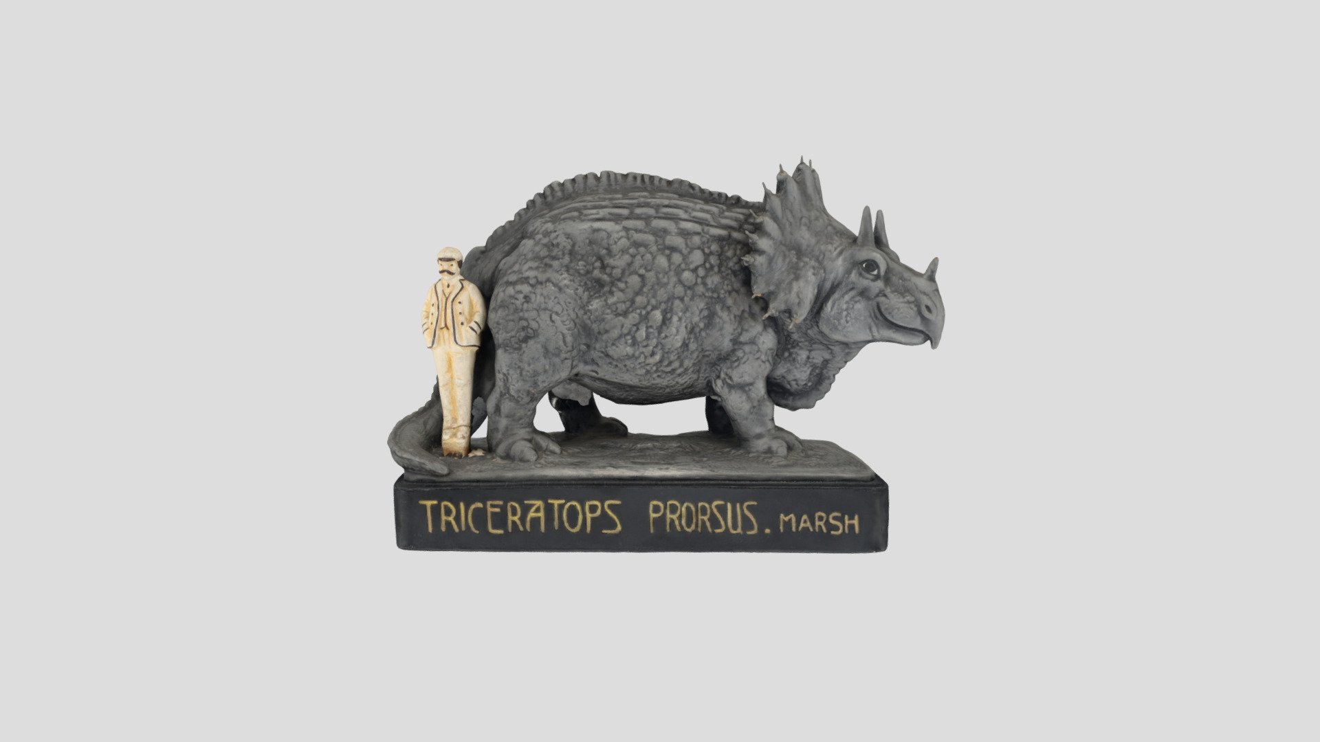 Triceratops prorsus - 3D model by SMA-UniGe [e913bc3] - Sketchfab