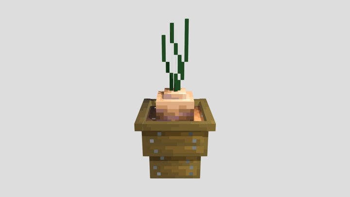 Turnip Pot 3D Model