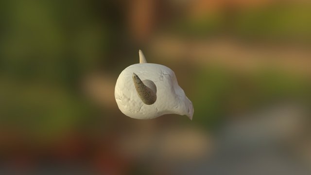Skull 3D Model