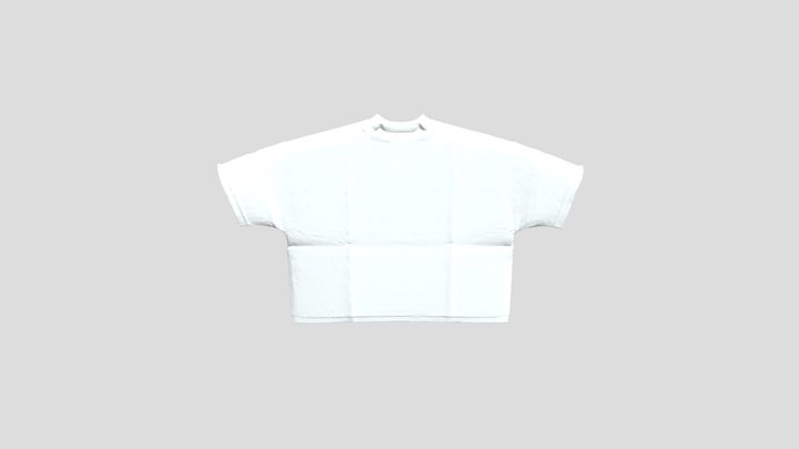 Blank Canvas 3D Model