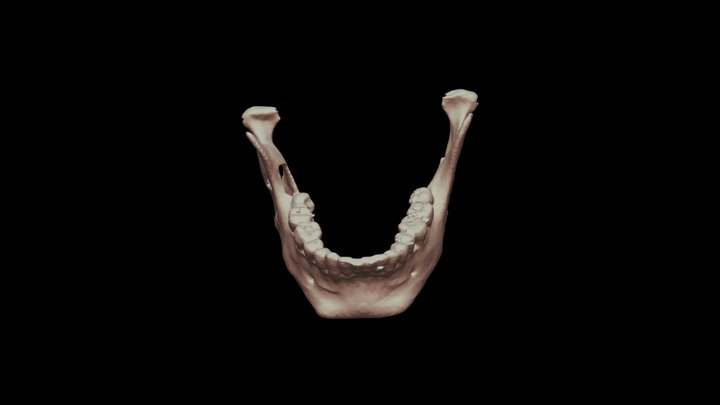 SHAILESH NAI 3D Model