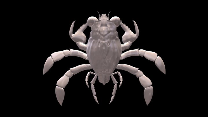 Callichimaera perplexa, Cretaceous crab, 3D 3D Model