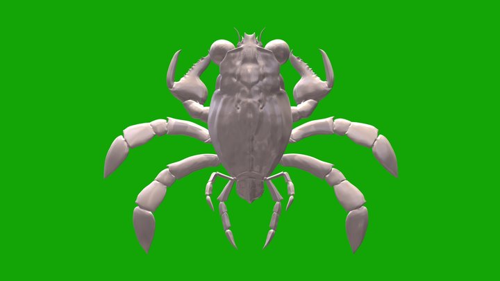 Callichimaera perplexa, Cretaceous crab, 3D 3D Model
