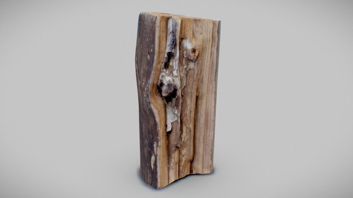 Wood 3D Model