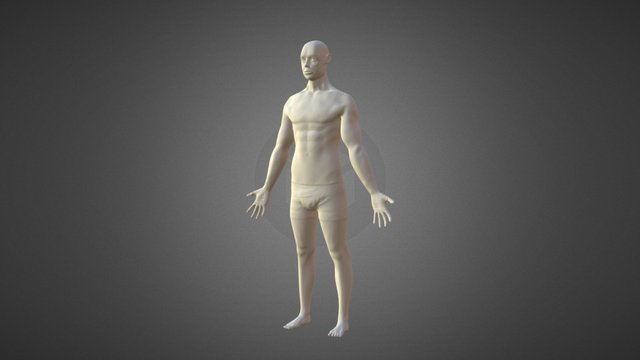High Poly Male Mesh 3D Model