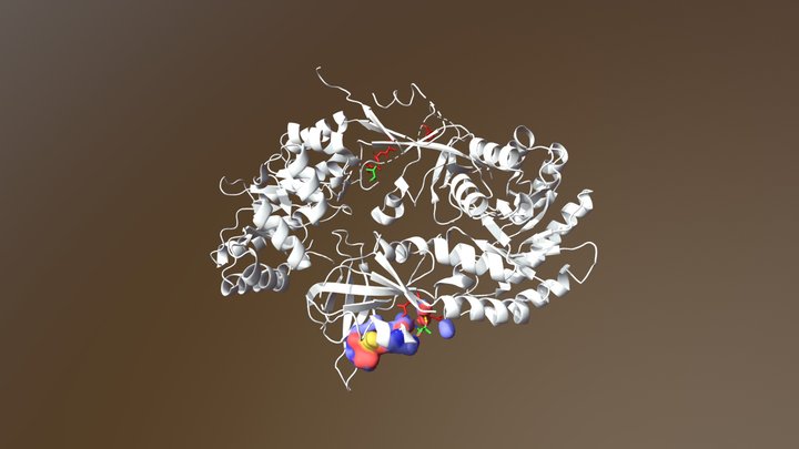 Ornithine Decarboxylase/G418 complex 3D Model
