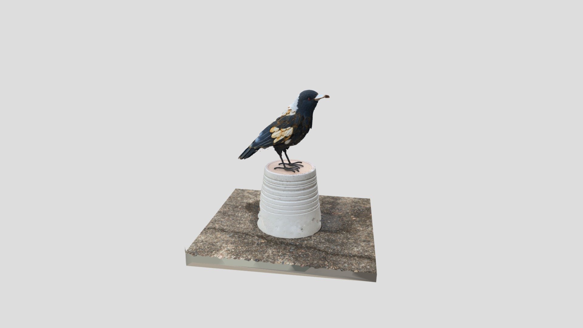 Magpie Statue Download Free 3D model by schmildo [e928bec] Sketchfab