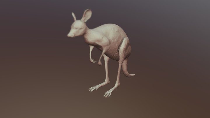 Kangaroo 3D Model