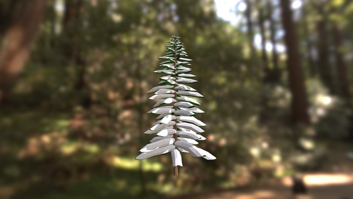 Pine Snow 3D Model