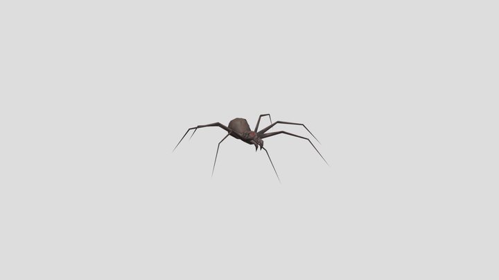 Spider 3D Model