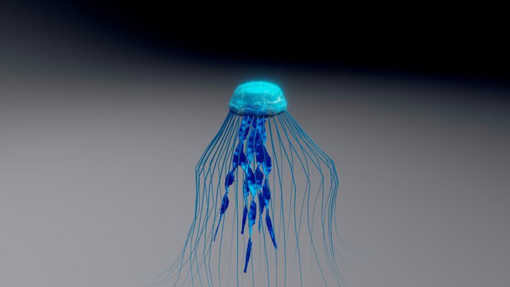 Jellyfish 3D Model