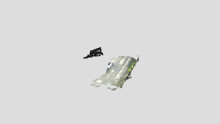 New Model 3D Model