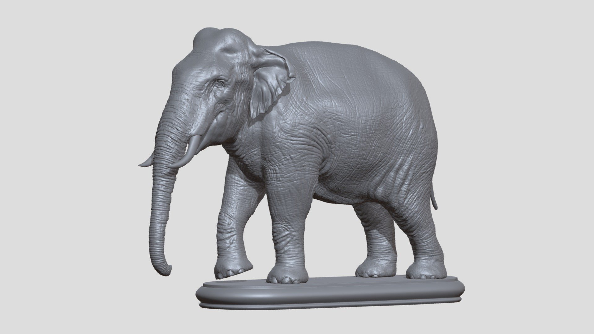 Asian Elephant - Buy Royalty Free 3D model by aleexstudios [e932e76 ...