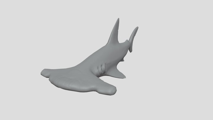 Shark with lowered poly count 3D Model