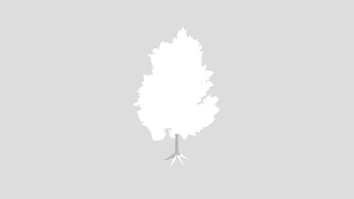 Callery Tree Low Poly