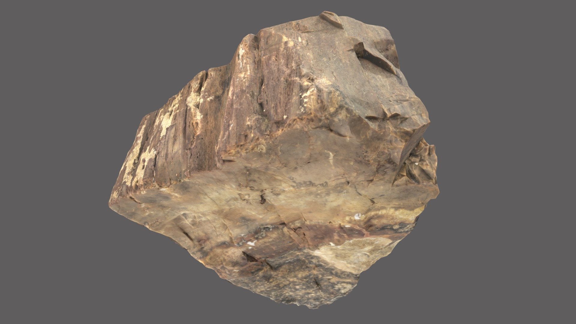 Petrified Wood Rock