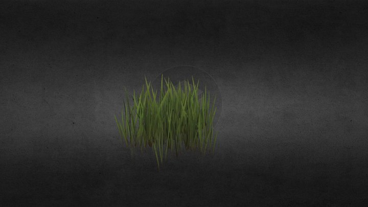 Grass_green 3D Model