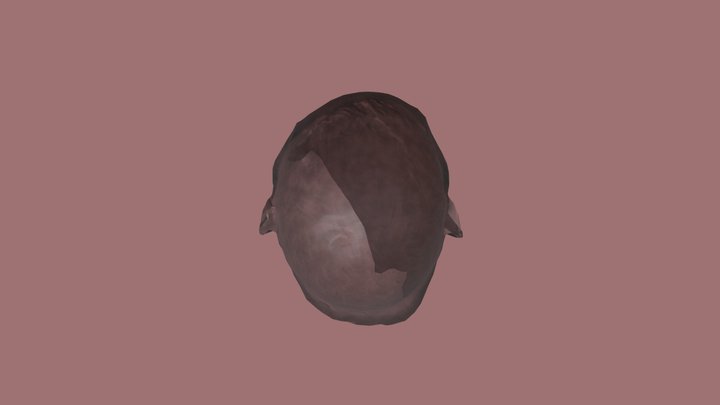 generated 3D Model