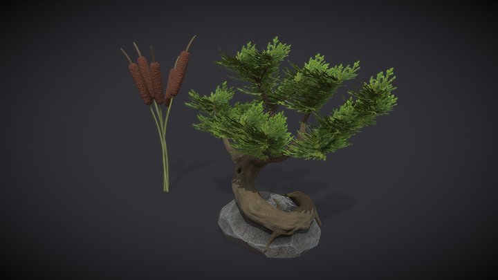 3D model Bonzai Tree VR / AR / low-poly
