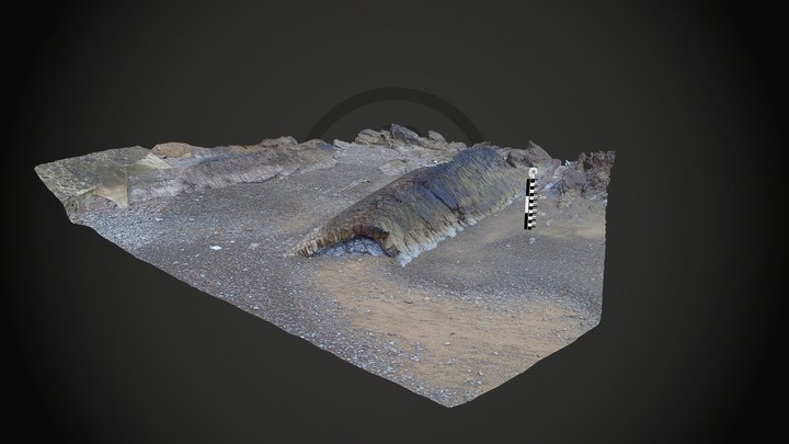 Whaleback Bude 3D Model