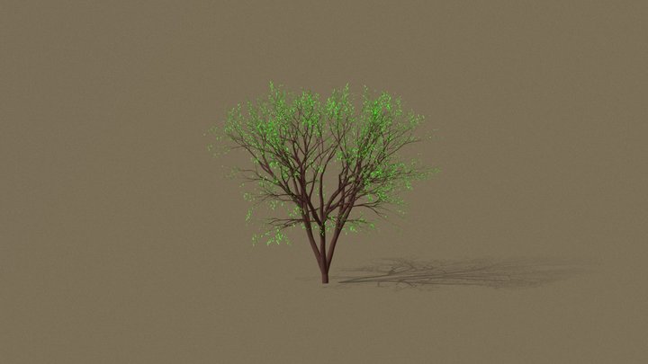Tree 3D Model