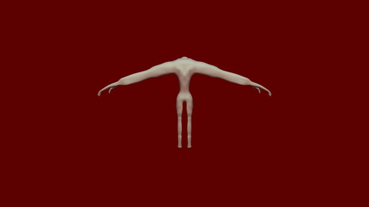 the problem 3D Model