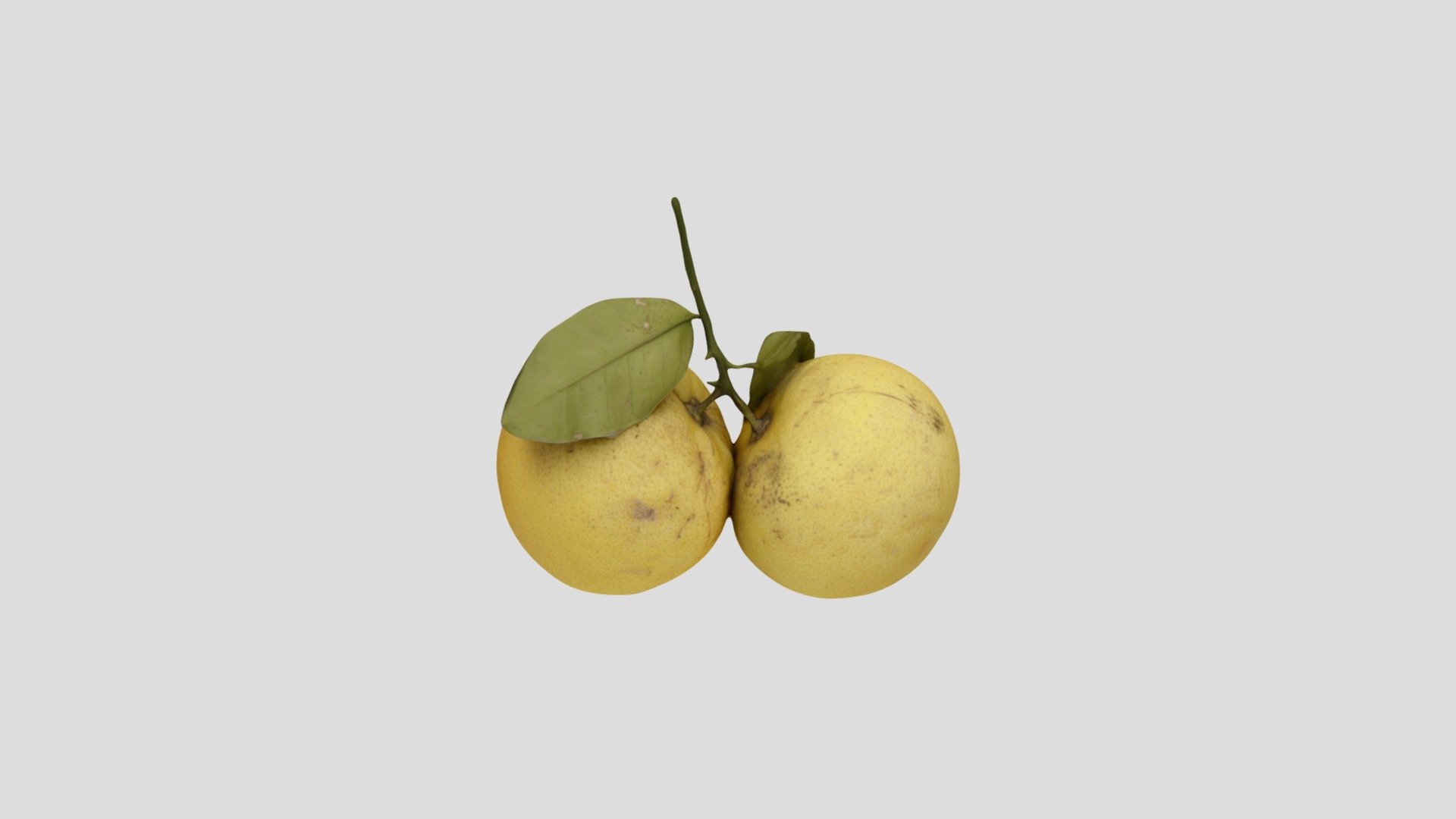 White Grapefruit