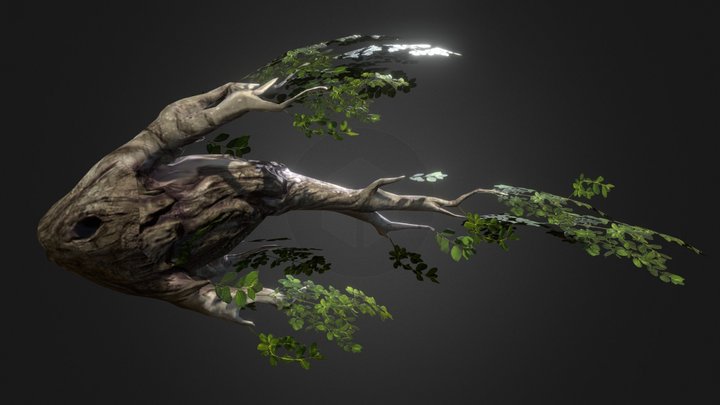 Forest Fish 3D Model