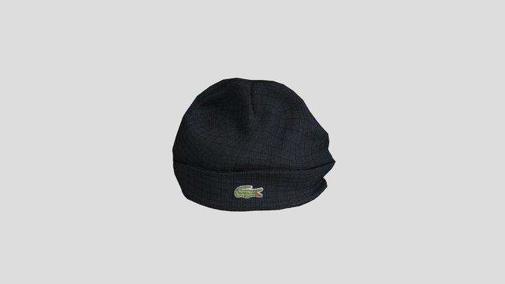 3D Scanned and Remeshed Beanie 3D Model