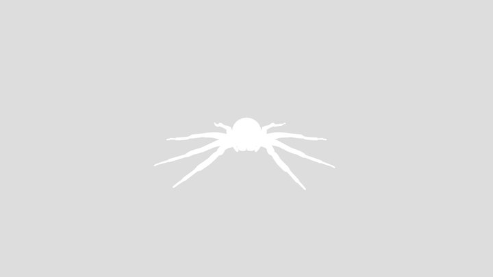 Real Spider