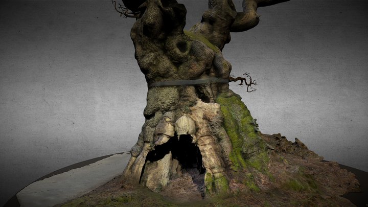 Big Belly Oak - Savernake Forest – Gratis 3D-model STL