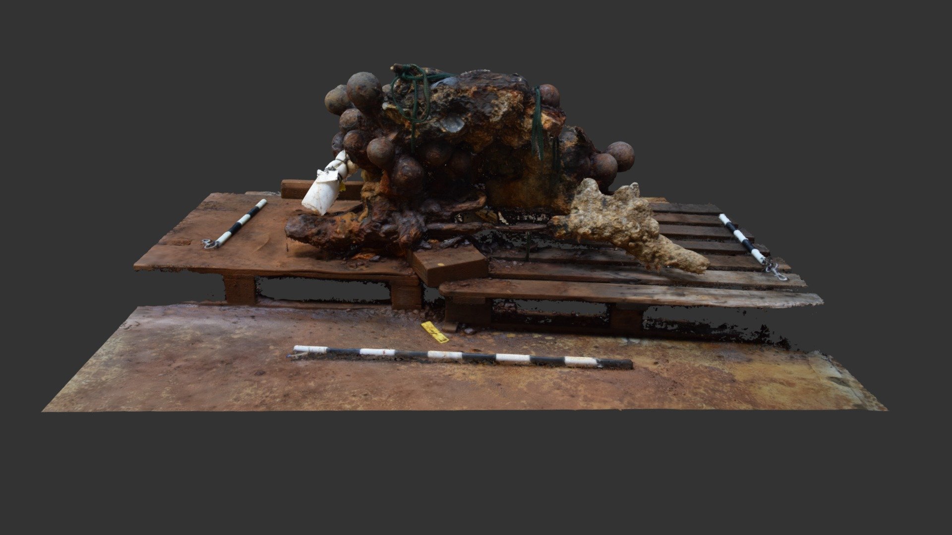 RK17 F00001 Concretion Stage 8