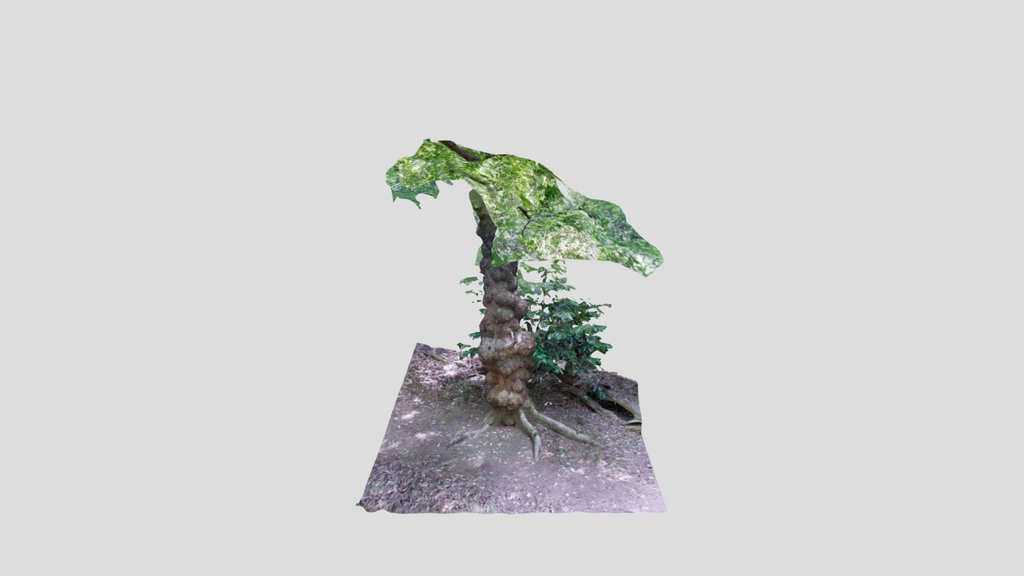 Knobbly Tree Kiri edited in Blender