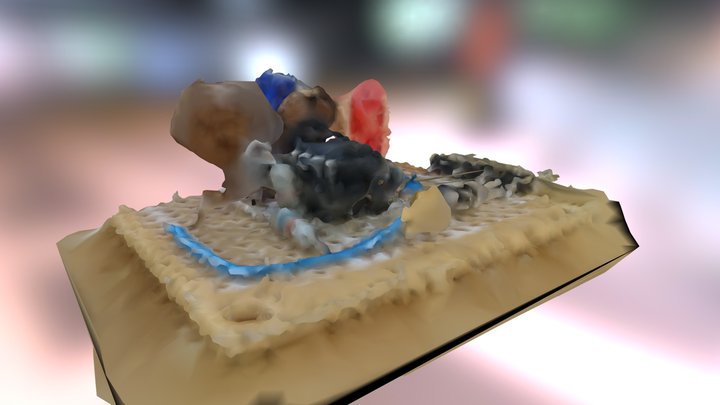 Cb 3D Model