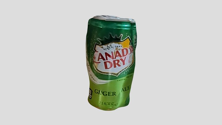 Canada Dry can 3D Model