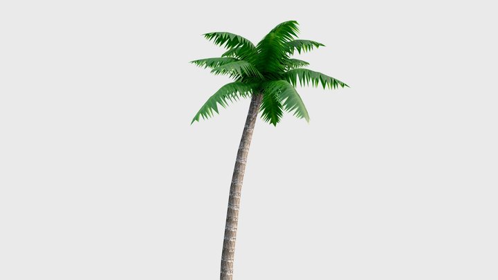 Tropical Palm Tree – Modello 3D gratuito STL