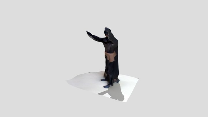 3D Model