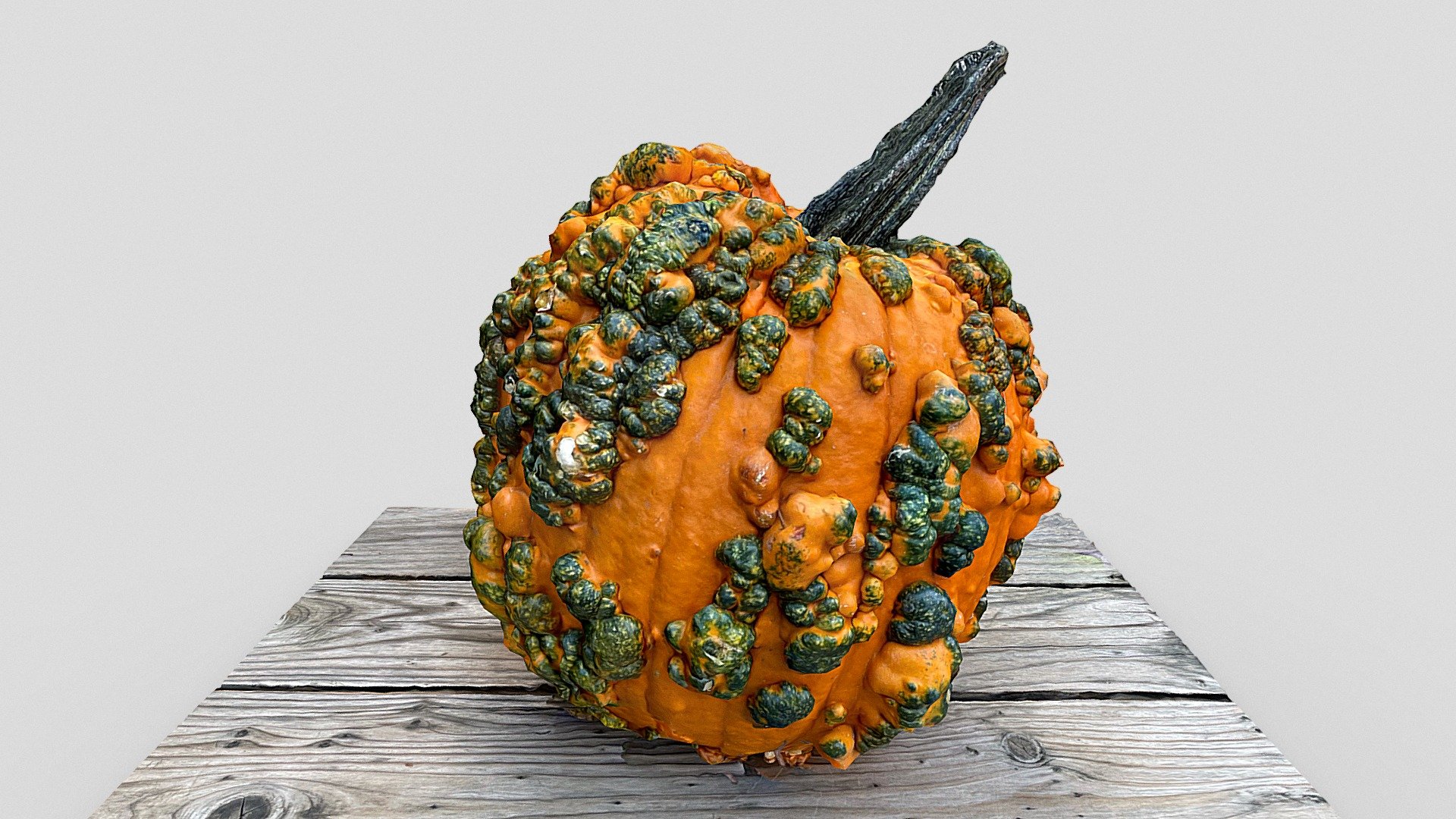 Pumpkin (iPhone13 scan)