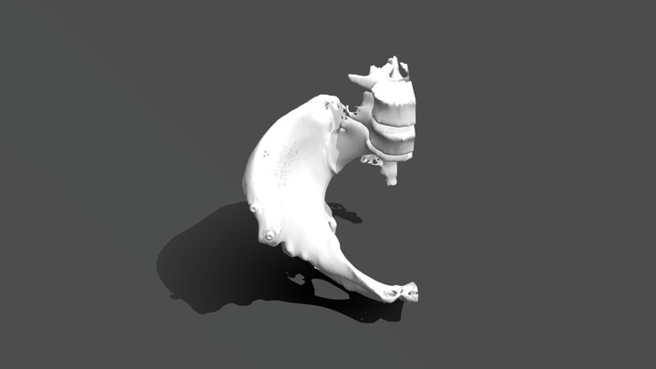 2019-B33 3M 3D Model