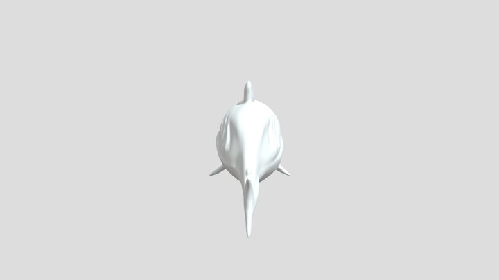 Shark_sculpt08 3D Model