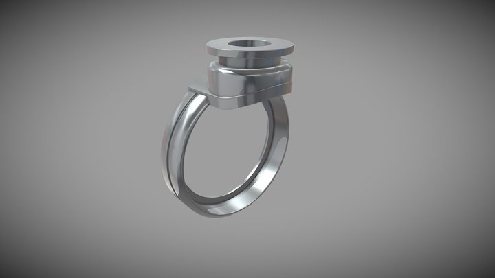 Accent Ring Kit - Covertec - Type_1 3D Model
