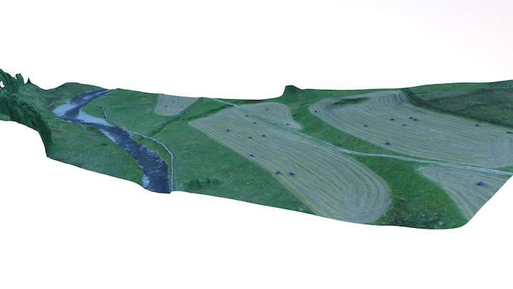 Borrowdale - hay meadow 3D Model