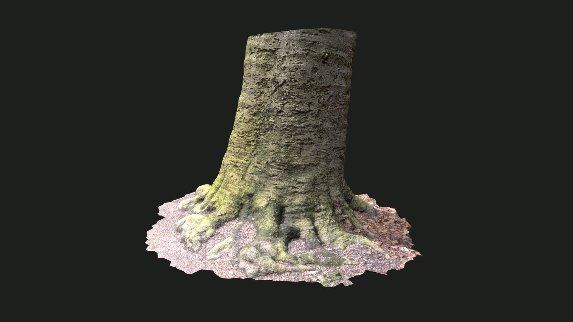Tree Trunk04 — Sketchfab embed 3D viewer
